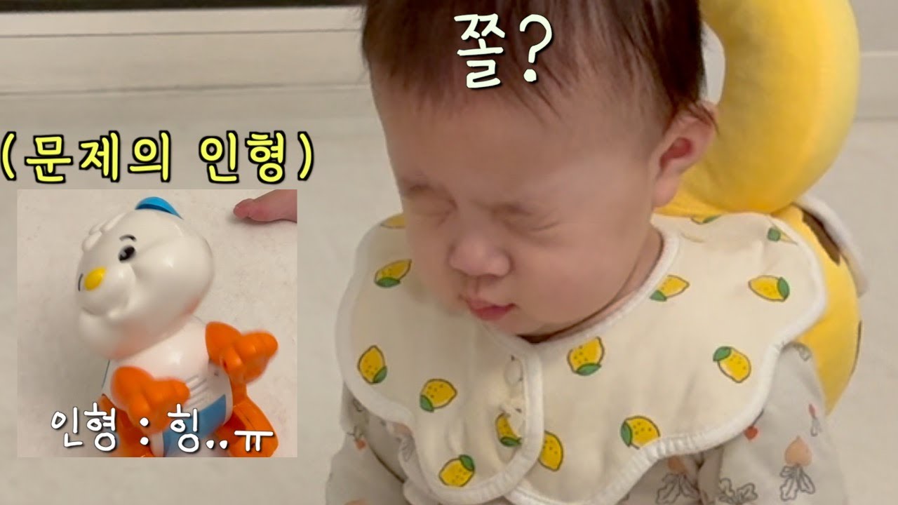 강아지 인형이 무서운 7개월 아기의 일상