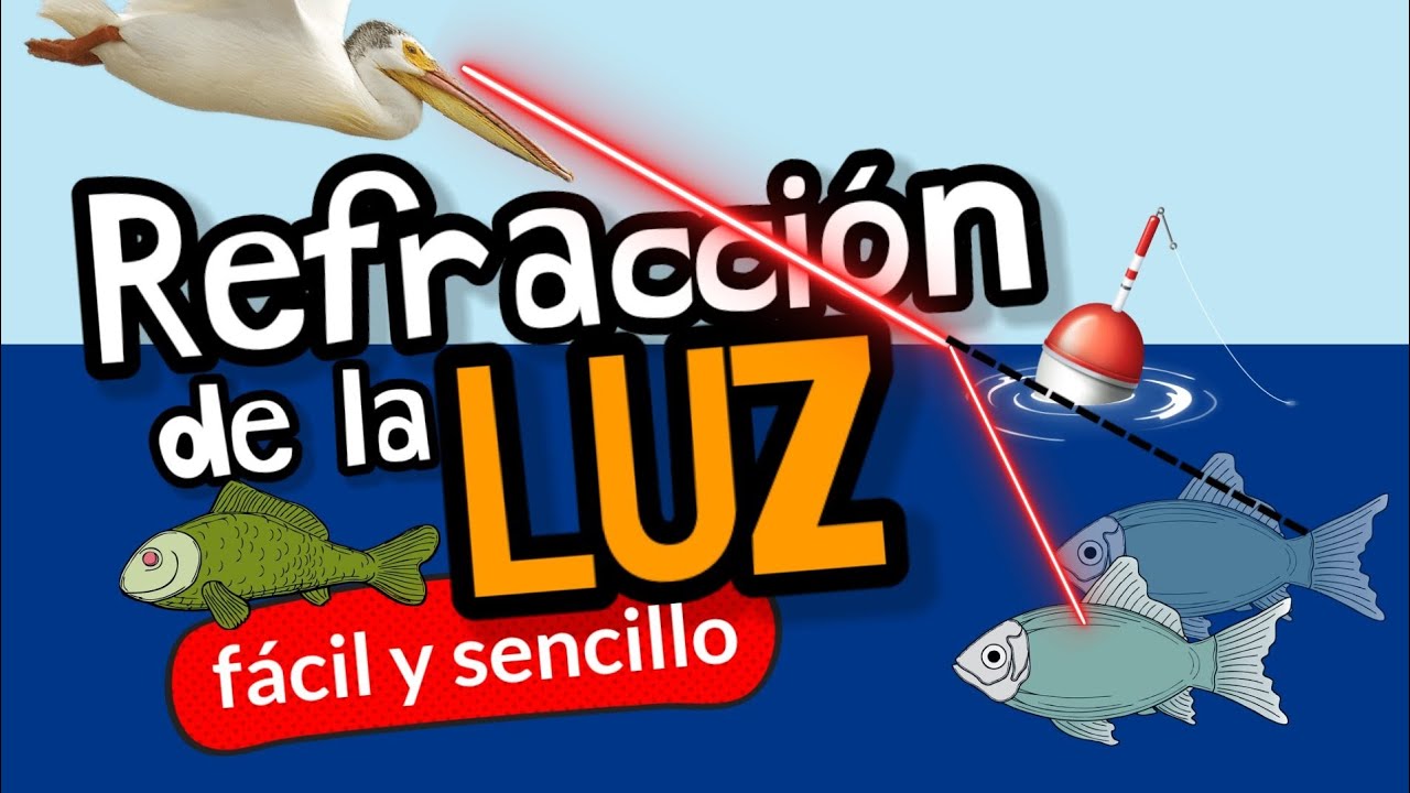 ¿QUÉ ES LA REFRACCIÓN DE LA LUZ?⚡Fácil y sencillo con ejemplos