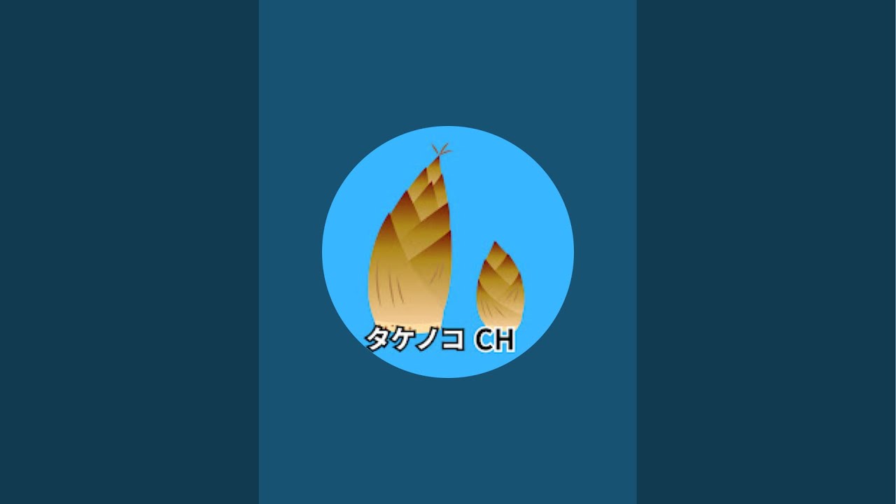 #日本保守党 北村晴男 佐々木みのり 島田洋一 藤村充亮 近畿大阪決起集会 2026年2月2日 15時　その2
