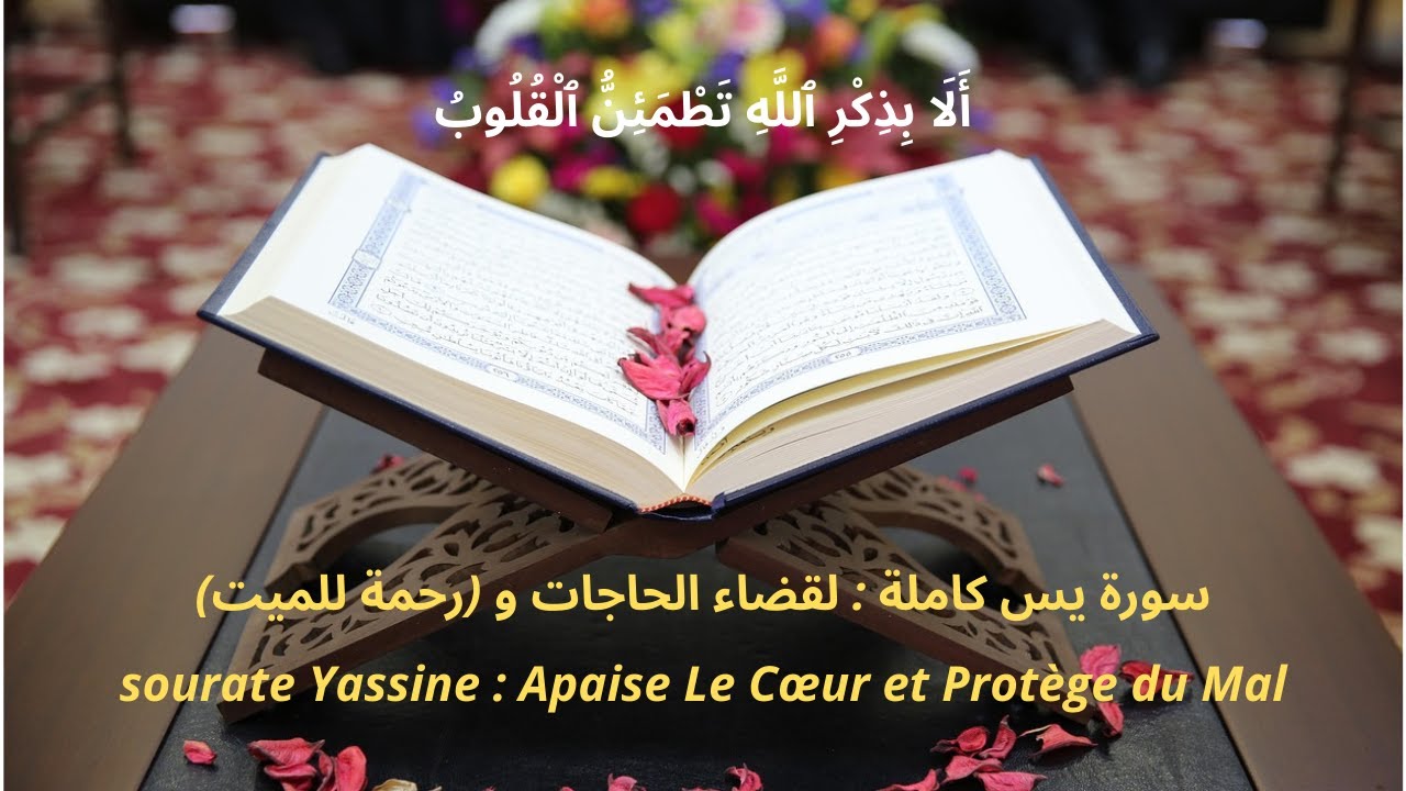 Sourate 36 Yassine : 🕌pour (les Morts) ROQYA [الرقية] 🤲 / سورة يس كاملة : لقضاء الحاجات و رحمة للميت