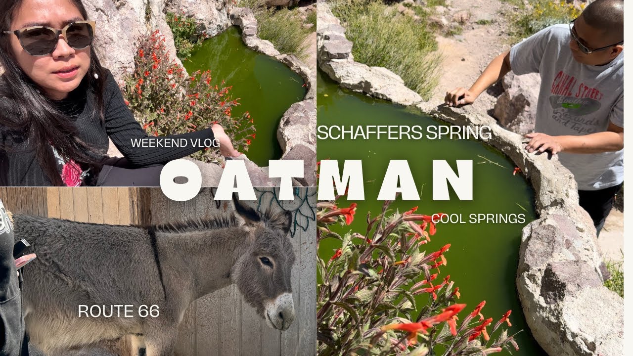 Hidden Fishbowl Spring | Oatman Arizona