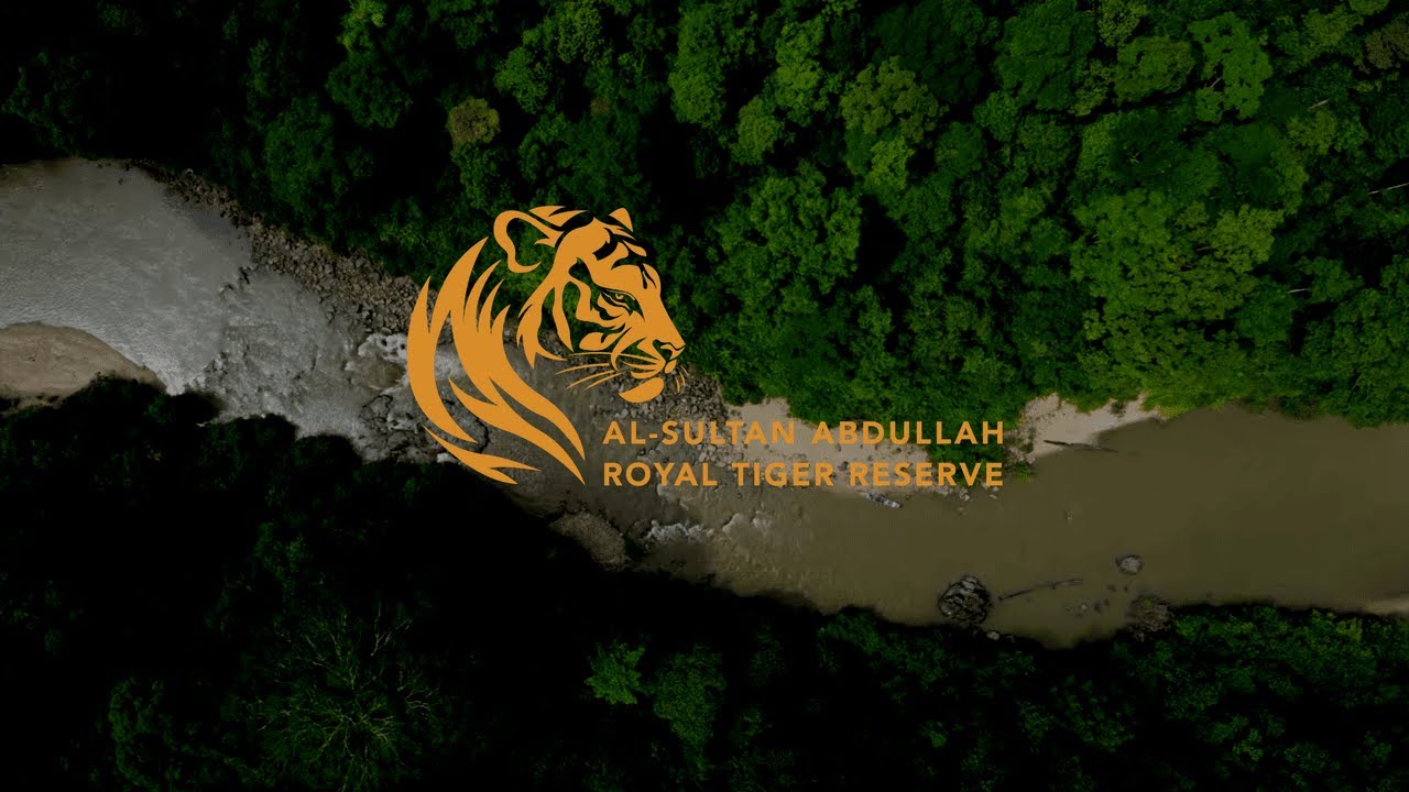 A Look Into: Malaysia's First Royal Tiger Reserve
