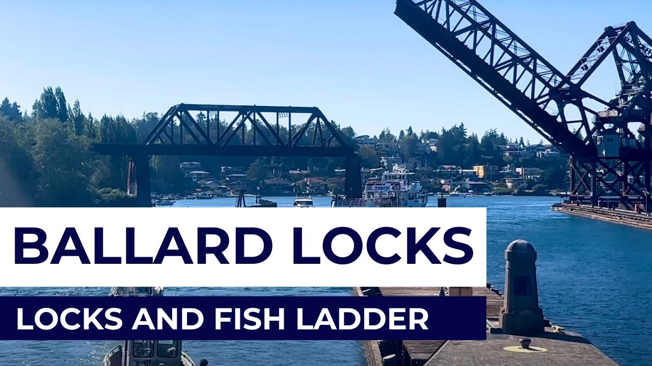 Seattle Ballard Locks & Salmon Ladder Tour