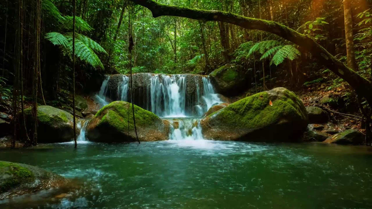 Forest River Nature Sounds - Gentle Stream with Birdsong | Relaxing Nature Ambience for Sleep
