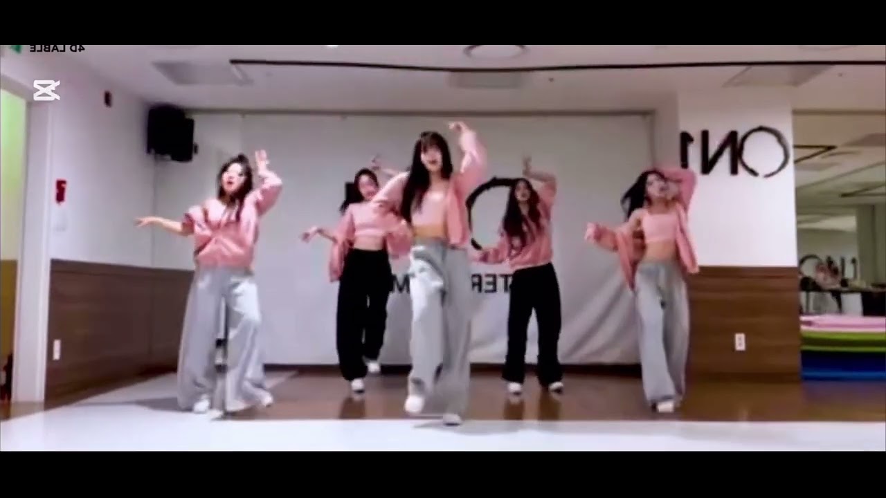 핑크 후디 5인 거울 안무