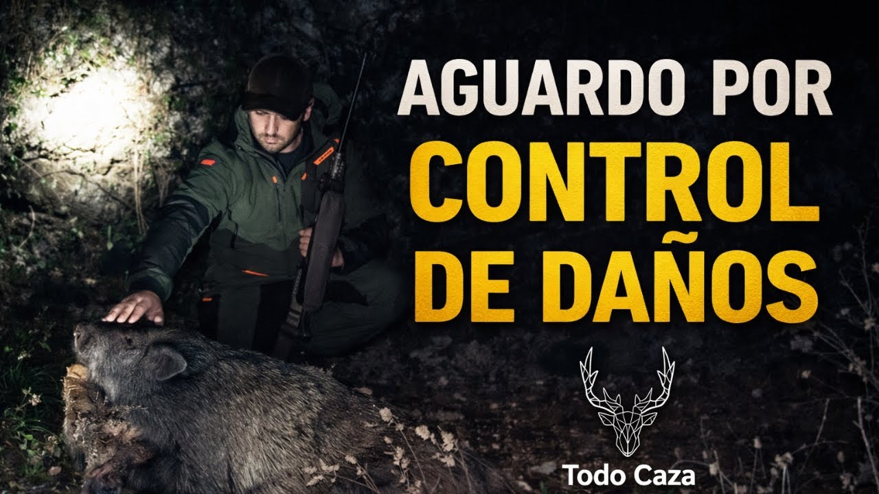 AGUARDO POR DAÑOS Y NUEVO EQUIPO WINCHESTER - ESPERAS A JABALÍ VII- TODOCAZA