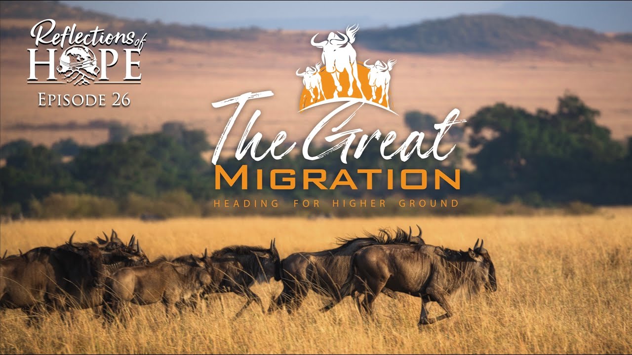 Reflections of Hope Episode 26: The Great Migration | Taj Pacleb