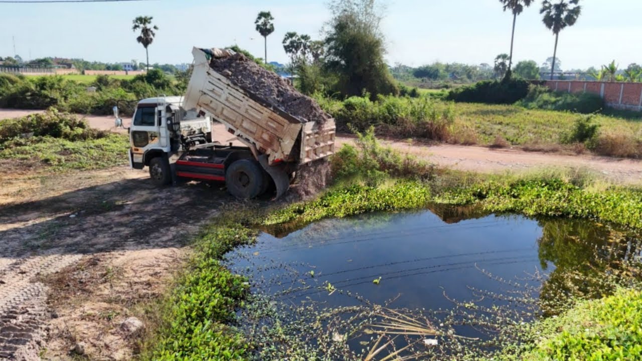 Nicely First Start a New Project!! FILL UP Land On The Flooded Area by Power Dozer Pushing & Truck D