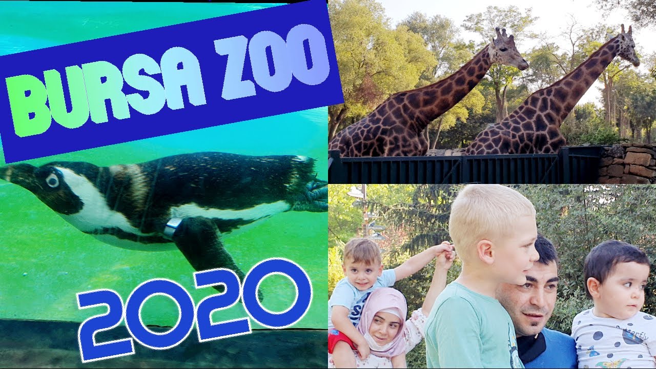 HAYVANAT BAHÇESI BURSA 2020 #BURSAZOO  GEZIMIZ TATIL'DEN EĞLENCELI VIDEO
