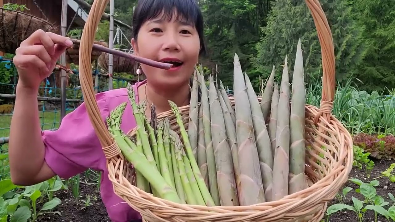 FULL VIDEO, THU HOẠCH MĂNG TÂY, MĂNG LE VƯƠN NHÀ