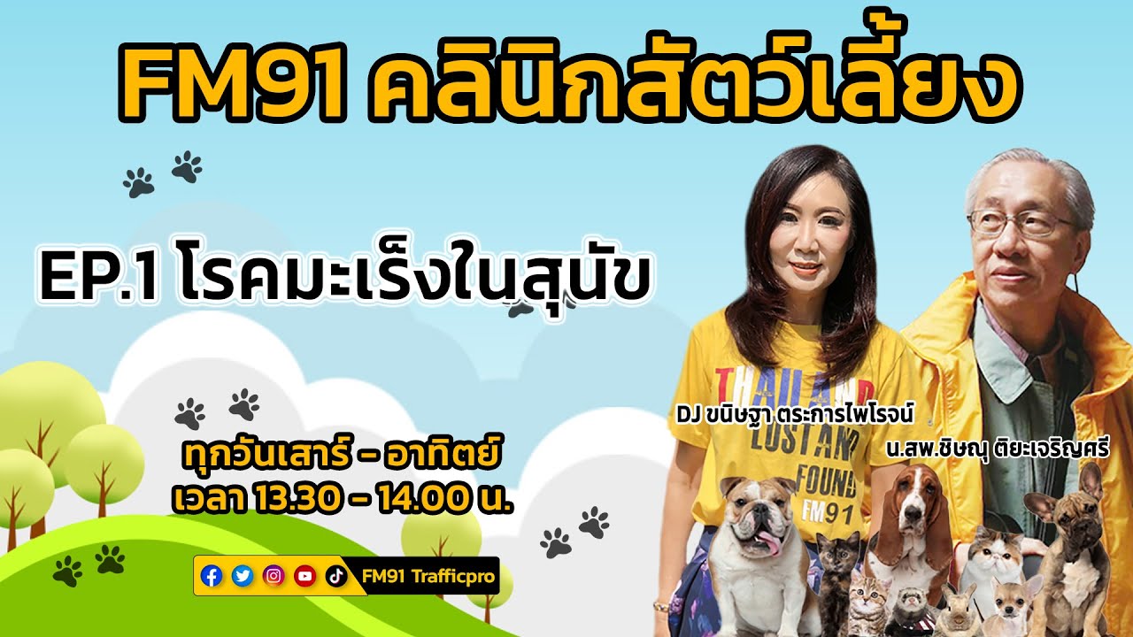 โรคมะเร็งในสุนัข EP.1 : FM91 คลินิกสัตว์เลี้ยง : 1 ตุลาคม 2565
