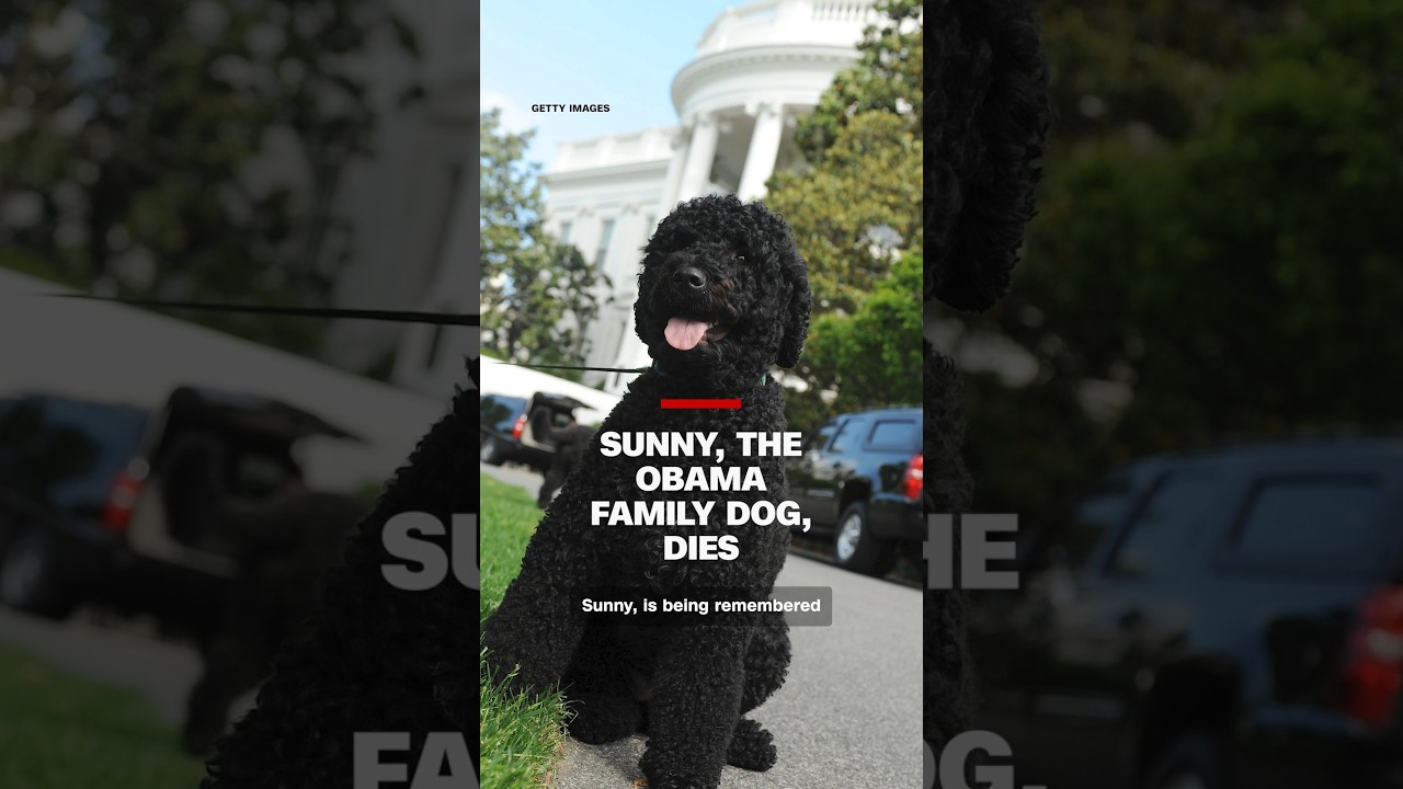 Sunny, the Obama family dog, dies