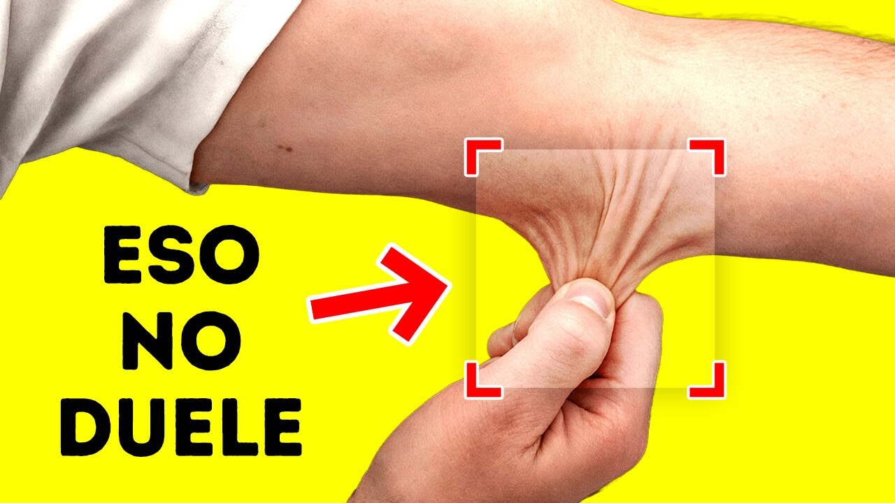 Pellizca tu codo y observa qué sucede + 100 datos curiosos sobre el cuerpo