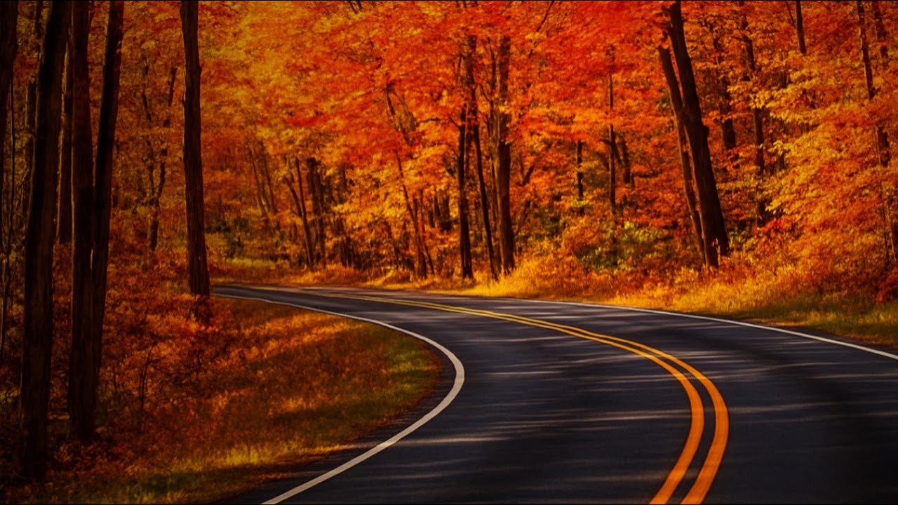 Stunning Fall Drive in the Great Smoky Mountains — Gatlinburg Bypass to Newfound Gap Road