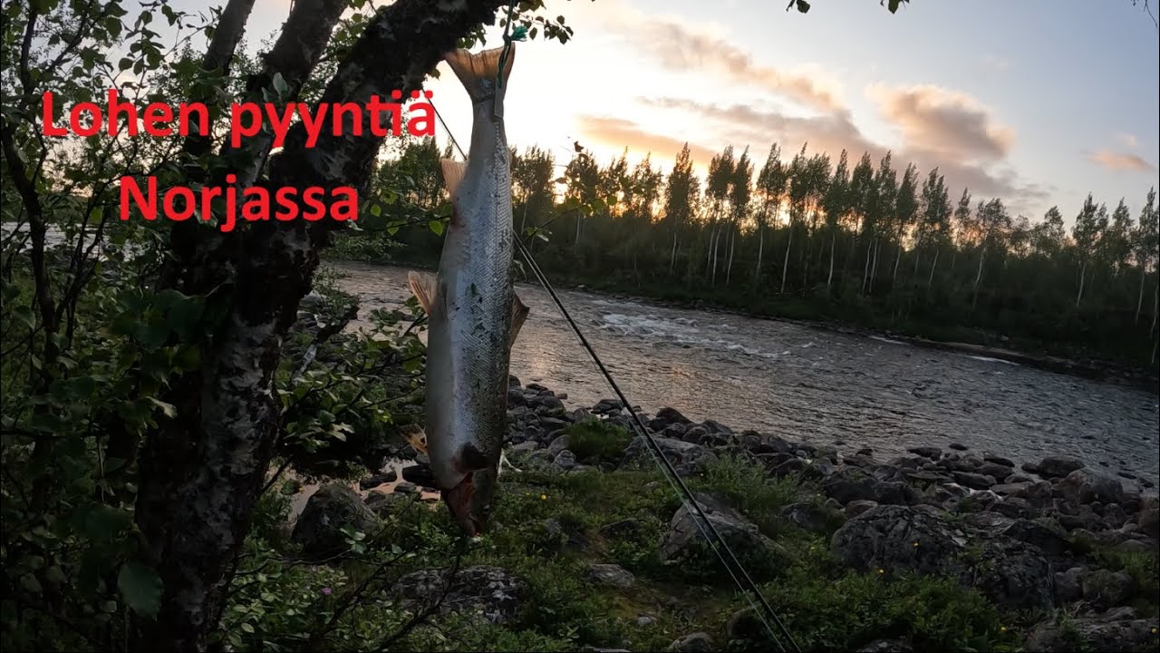Lohen pyyntiä perholla 2025