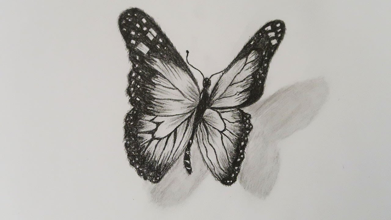 How to draw a butterfly | realistic 3D butterfly