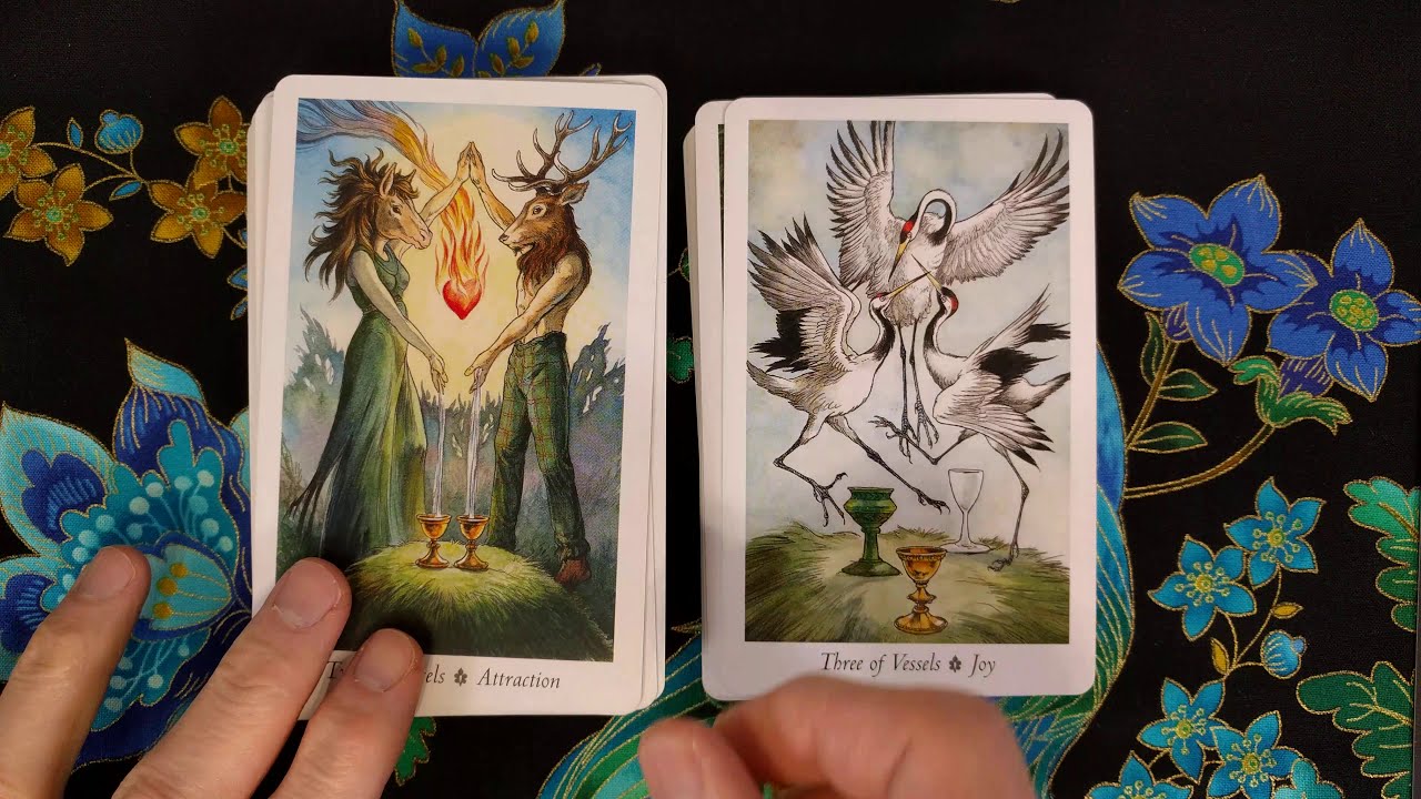 Wildwood Tarot - 4k flip through