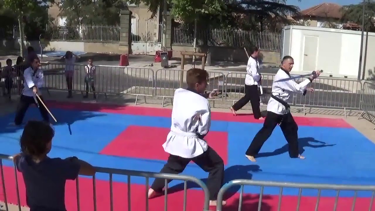 D&eacute;monstration de Wu Dao &agrave; Pertuis 84