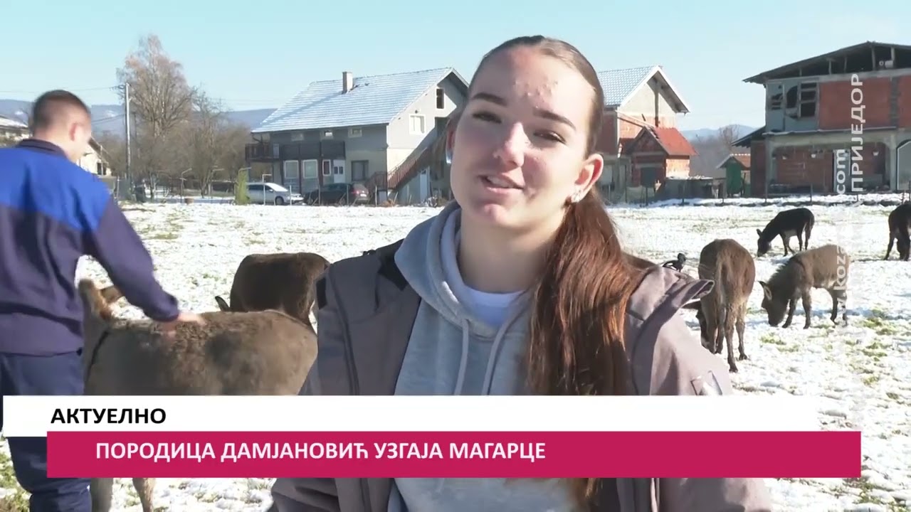 PORODICA DAMJANOVIĆ UZGAJA MAGARCE