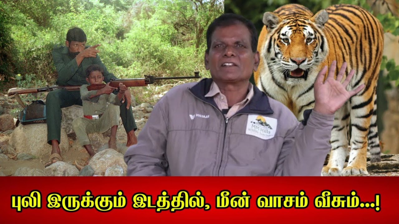 புலி இருக்கும் இடத்தில், மீன் வாசம் வீசும்...! ஓட்டுநர் இராமு நேர்காணல் – 8