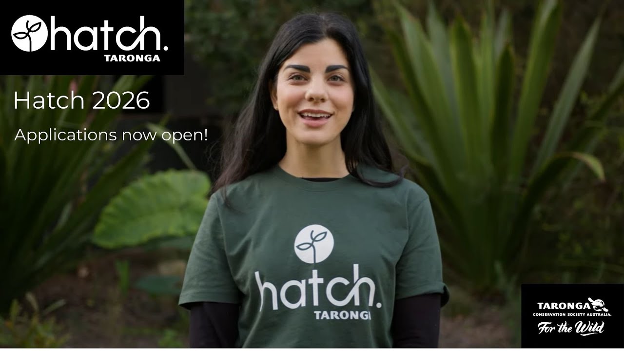 Hatch: Taronga Accelerator Program 2026: Applications are Open!