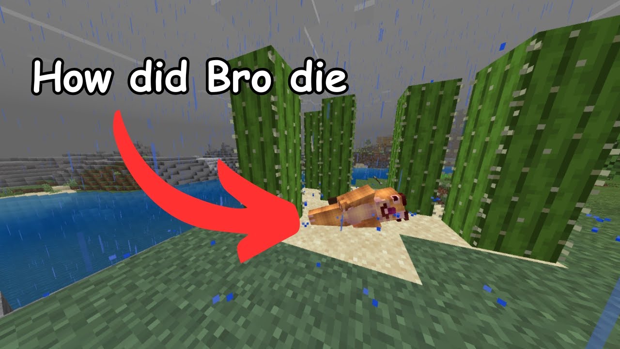 MInecraft with friends EP2 (late night funny moments)