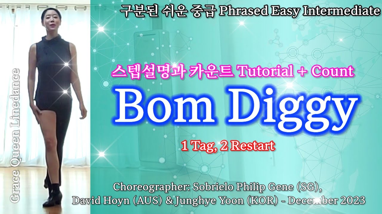 Bom Diggy/Linedance/Tutorial/count