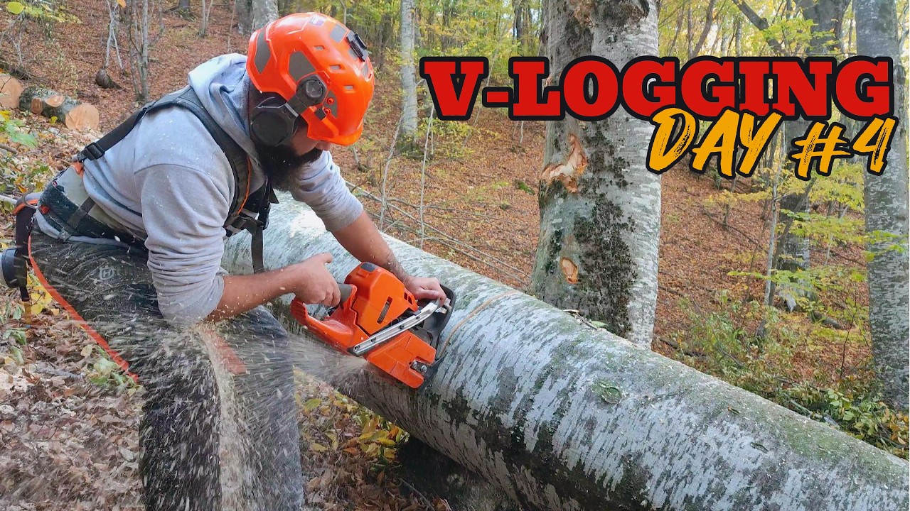 ❗Παραλίγο Να Με ΠΛΑΚΩΣΕΙ Κορμός❗ V-LOGGING #4 _ AXEHOLE LOGGER 🌲 #husqvarna