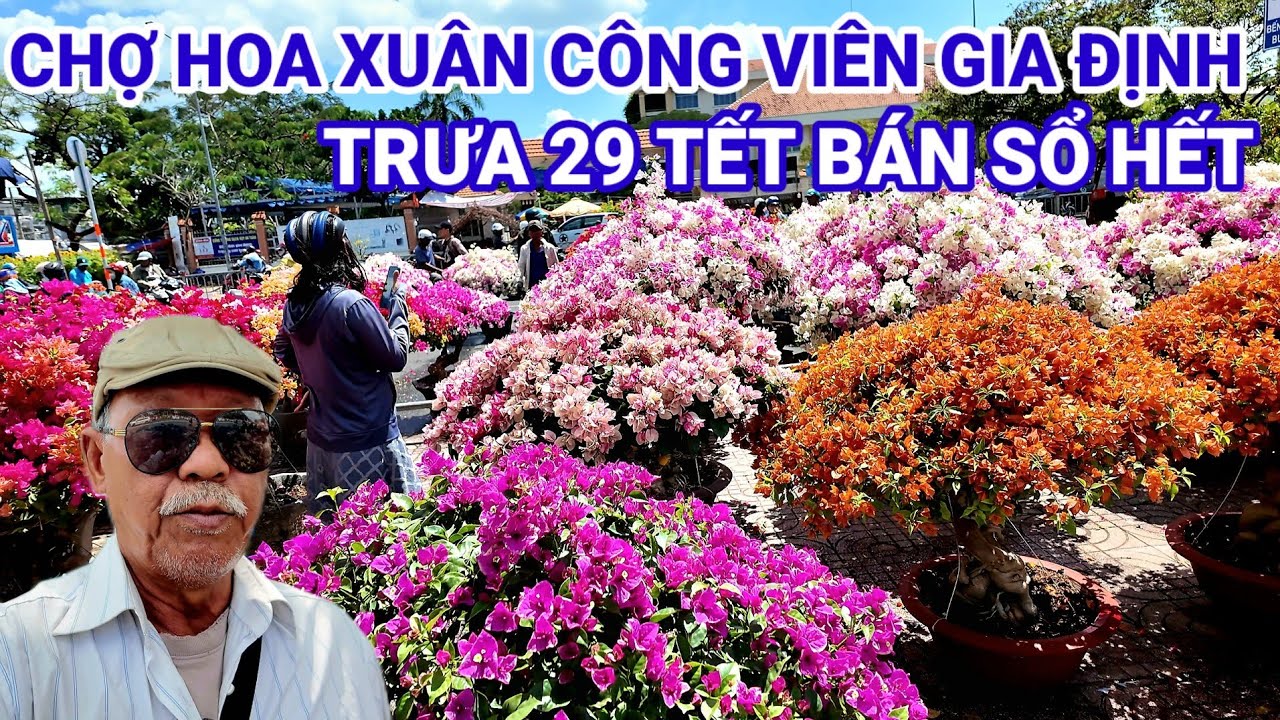 Chợ Hoa Xuân Công viên Gia Định Trưa 29 Tết Còn Rất Nhiều Bông Hoa Sổ Hết Về quê 2026