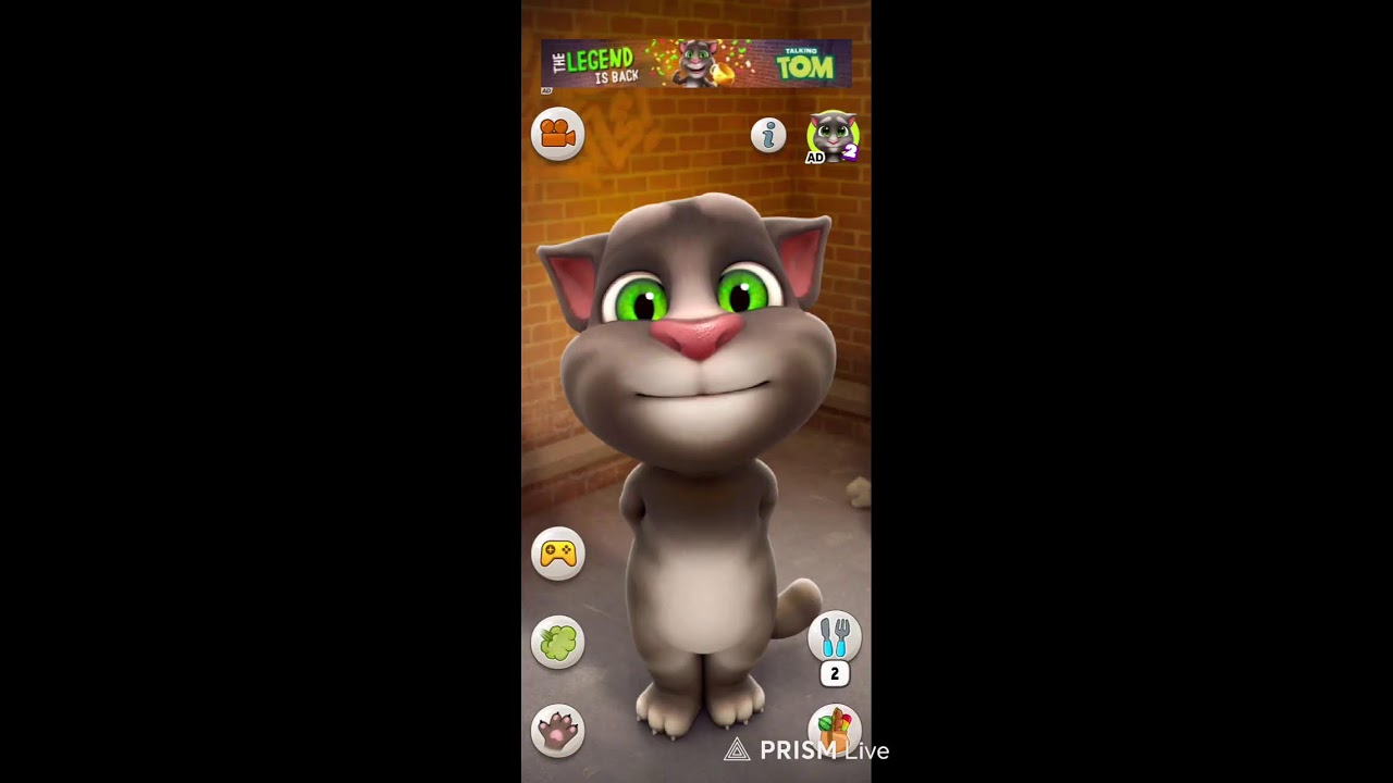 “😹 LIVE Talking Tom Cat – Jo Aap Likho, Wahi Tom Bole! Full Masti 🐱🔥”
