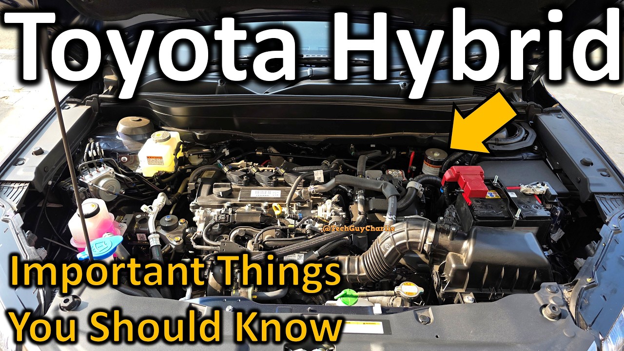 Grand Vitara/Hyryder Strong Hybrid Owners, Watch This And Learn Important Things About Your Car! ✅