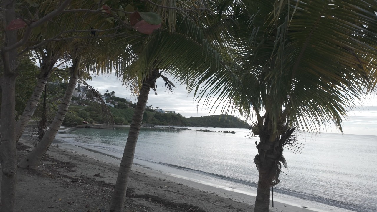 Ambient Walk in Naguabo, Puerto Rico. Coastal Island Sounds & Peaceful Streets. First Half