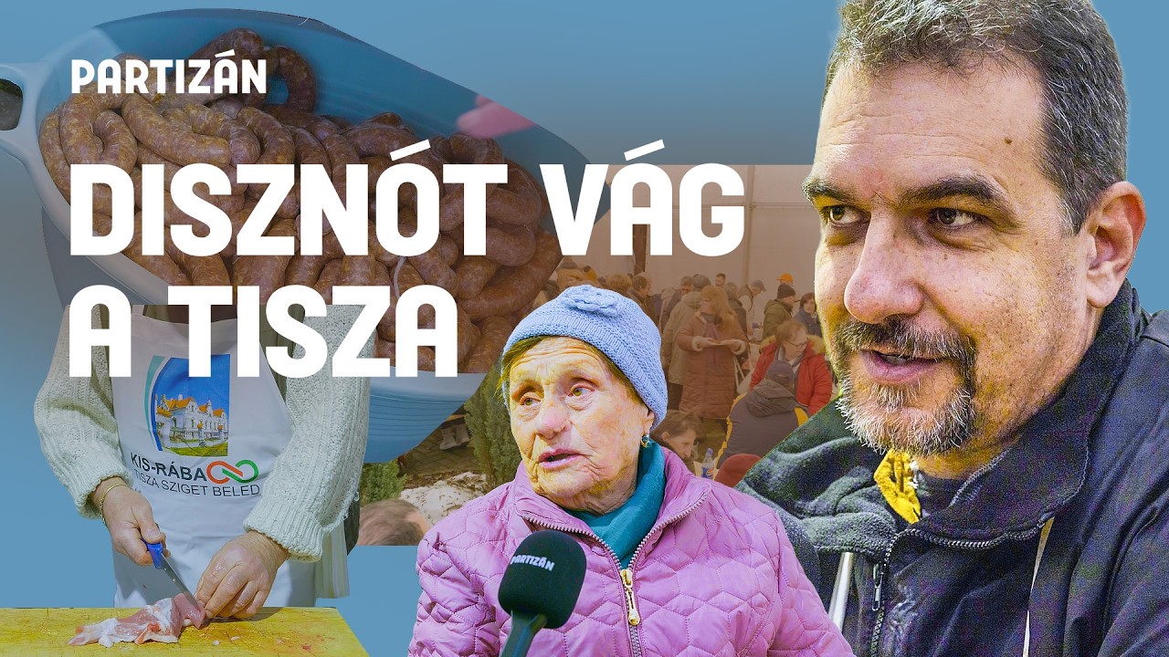 Tiszás disznóvágás a legfideszesebb körzetben – 