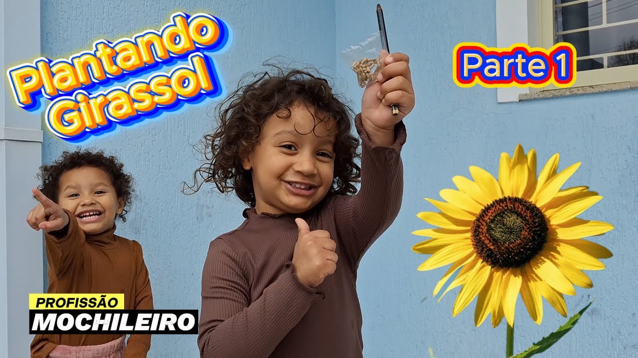 Plantando Girassol - Primeira Parte