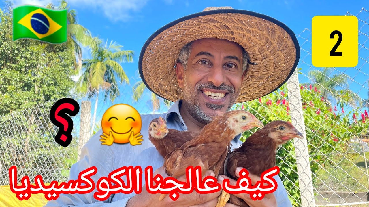مشروع الدجاج البياض 5 # 🐔 دورة تربية من عمر يوم 🐥