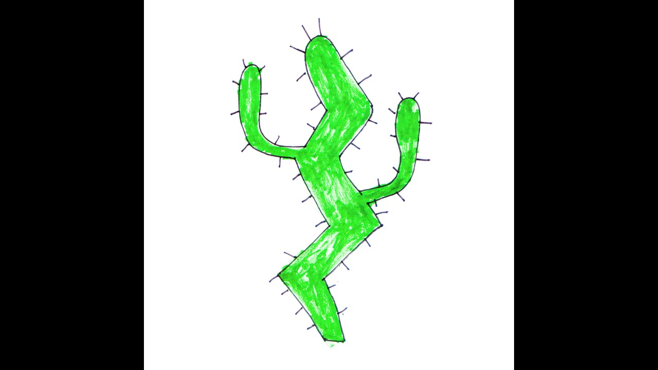 Cactus