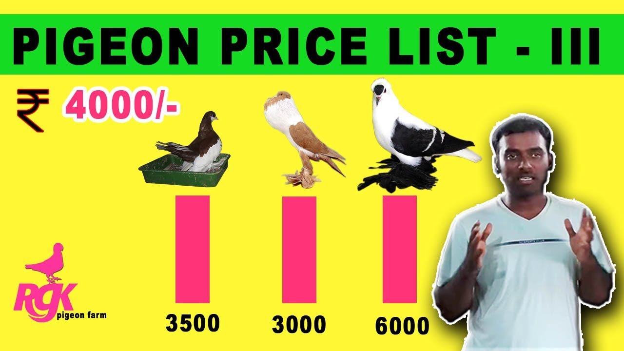 PIGEON PRICE PART LIST 3