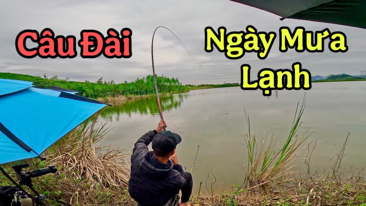 Cách chọn điểm câu & trộn mồi câu đài trong thời tiết mưa lạnh giao mùa 