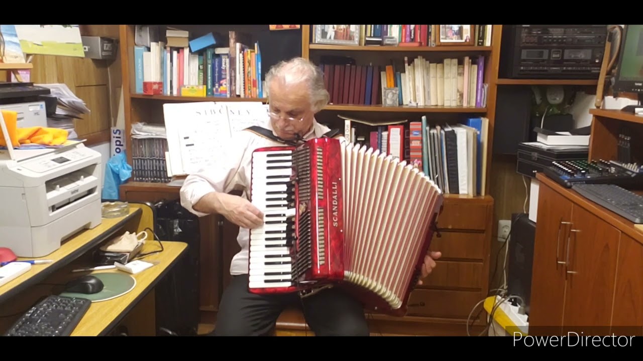 Los caminos de la vida ( Vicentico) versión Acordeon con Musette.