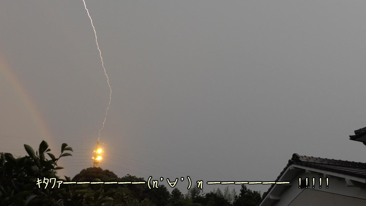 雷ｷﾀﾜｧ━━━━━━n'∀'η━━━━━━ !!!!!