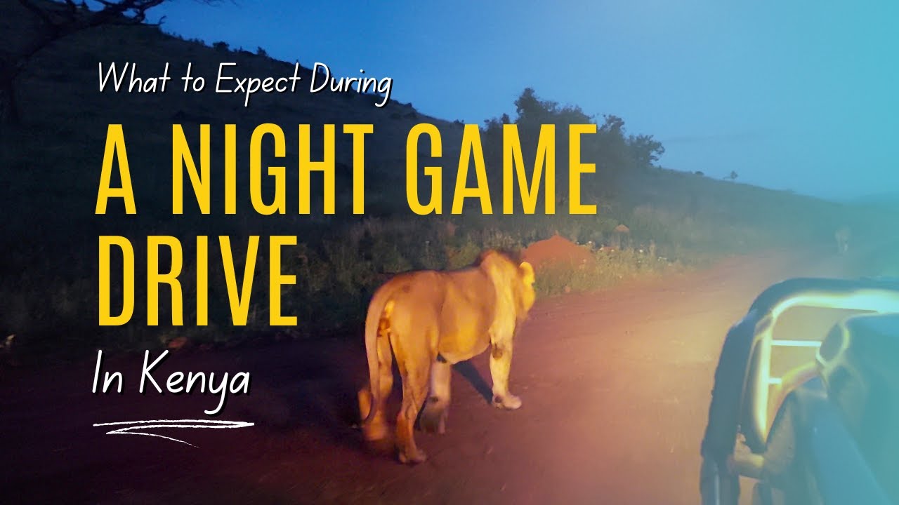 What To Expect During A Night Game Drive In Kenya | Africa