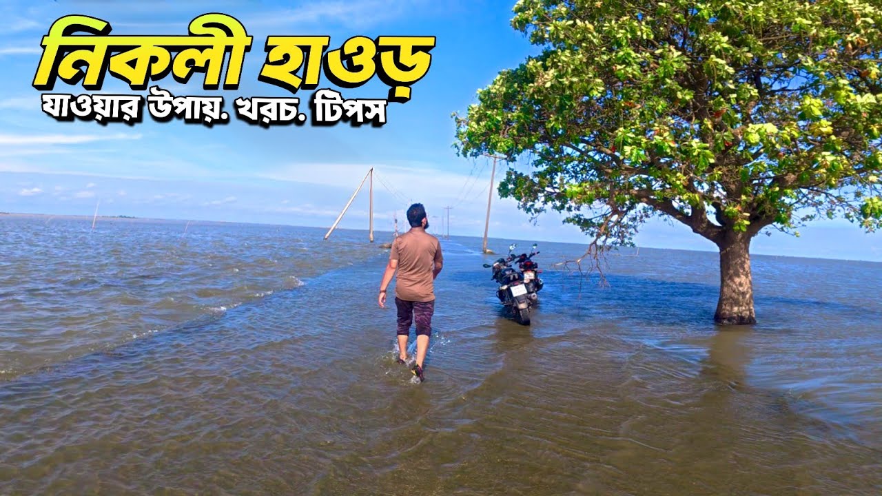 নিকলী হাওড় ভ্রমণের এখনই সময়-২০২৫🇧🇩 | Nikli Haor | Kishorganj Haor
