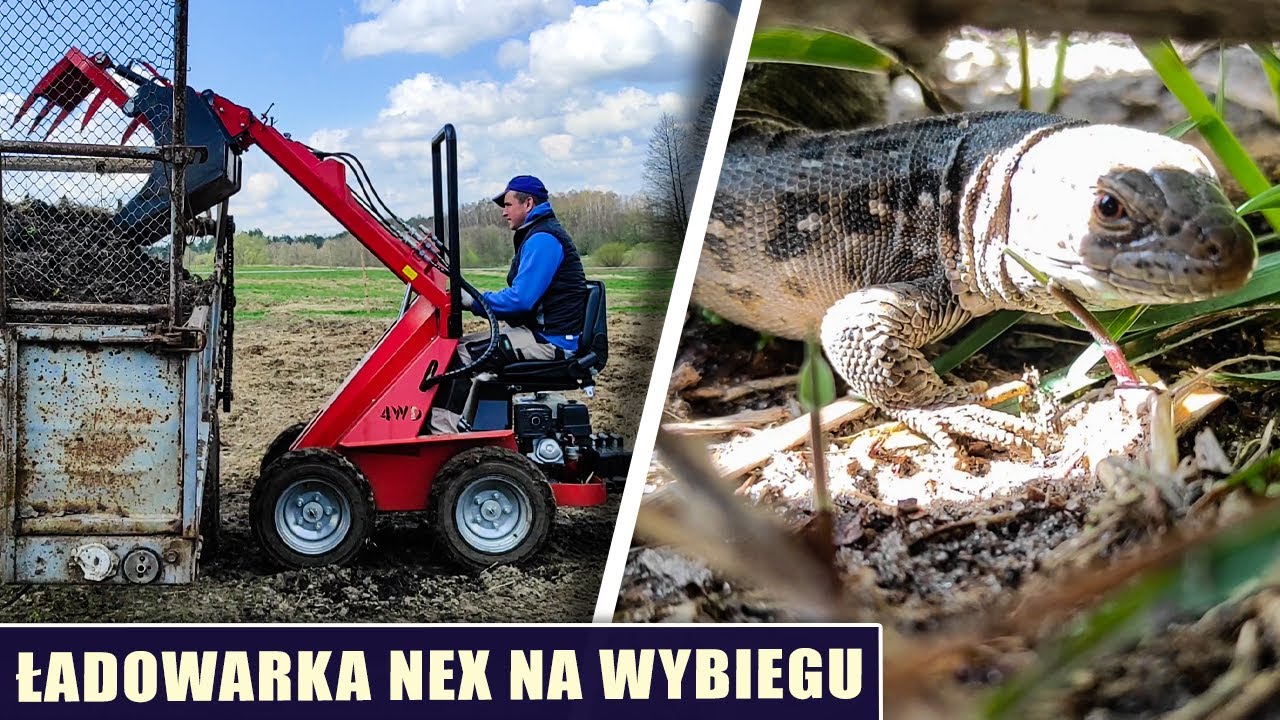 Ładowarka NEX na wybiegu
