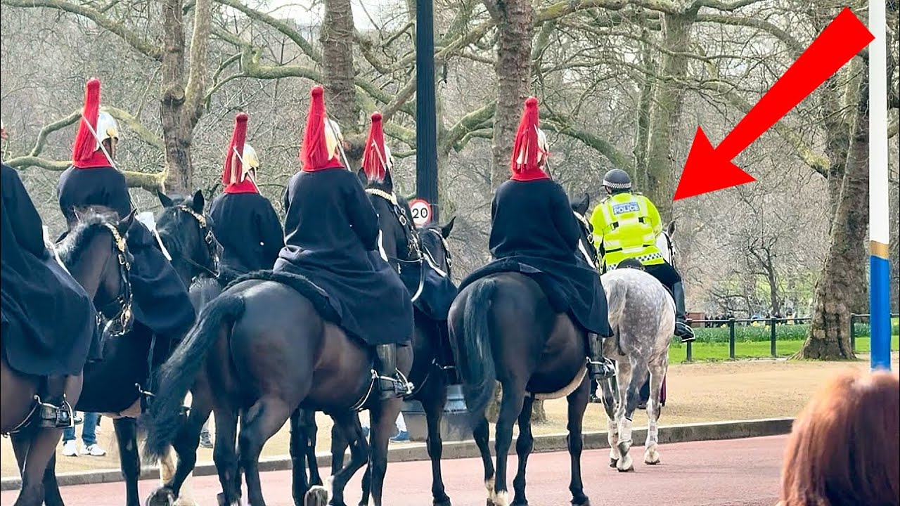 Guard shouts 