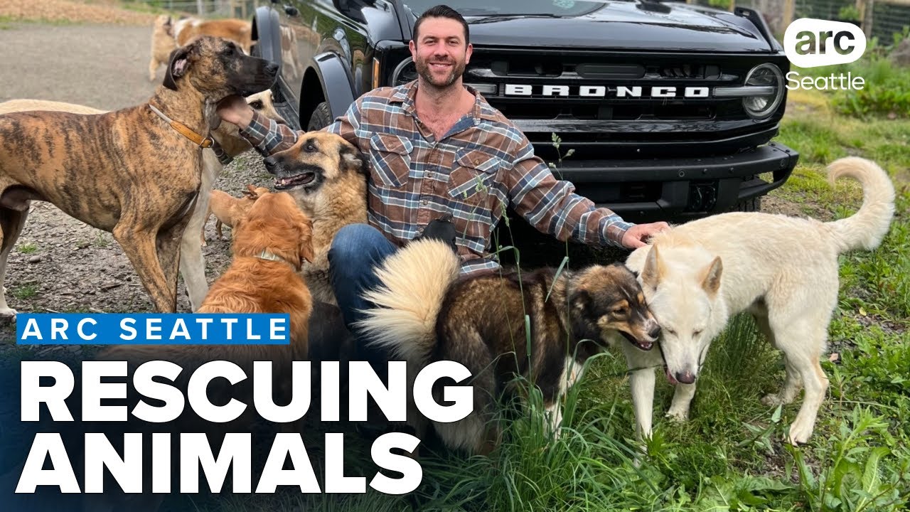 The nonprofit working to rescue abandoned animals in 49 states