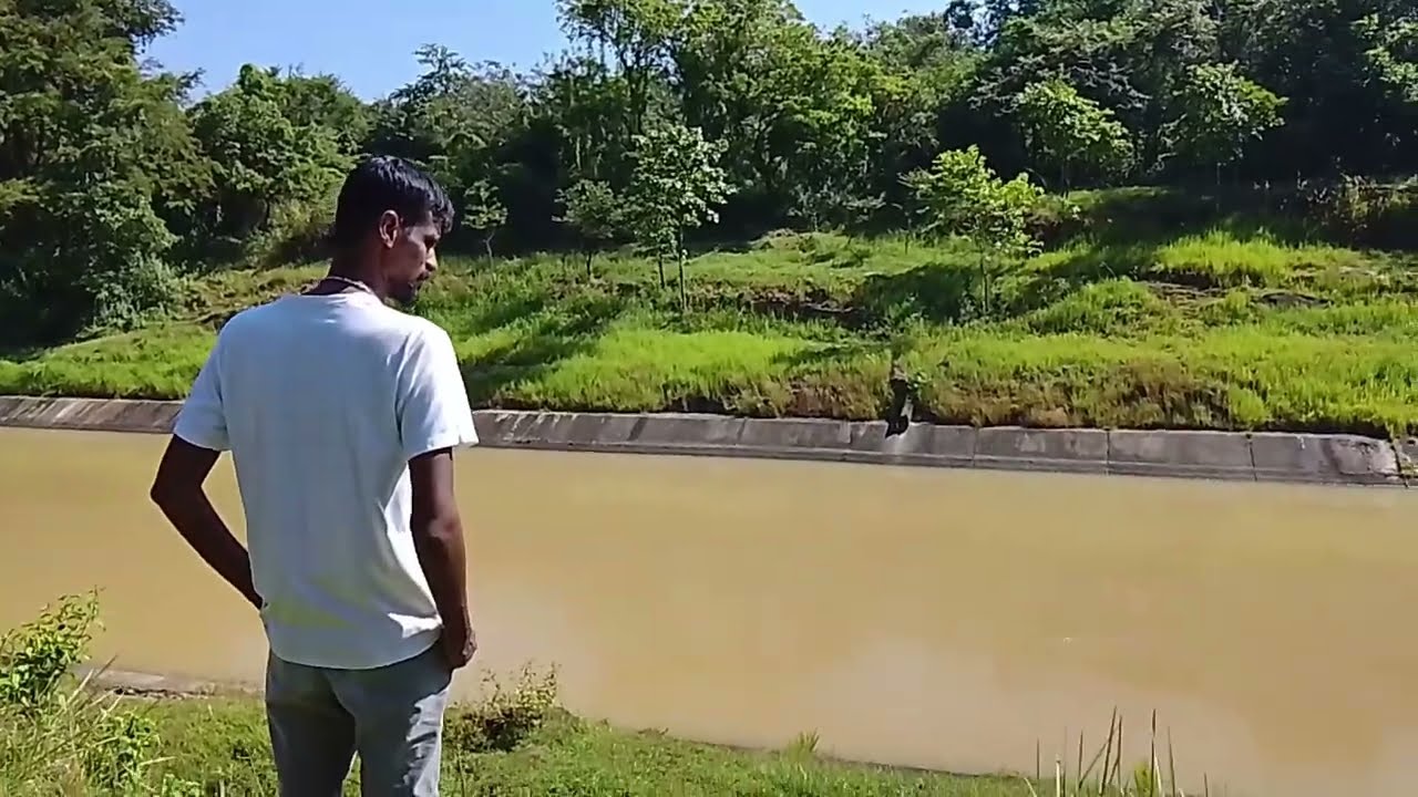 වියානා ඇල #viyana #agriculture #villagelife 