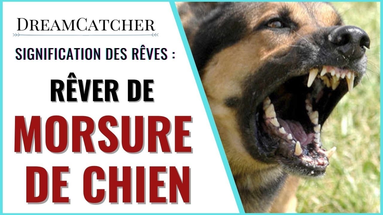 RÊVER DE MORSURE DE CHIEN - SIGNIFICATION DES RÊVES, INTERPRÉTATIONS DES RÊVES & SYMBOLISME