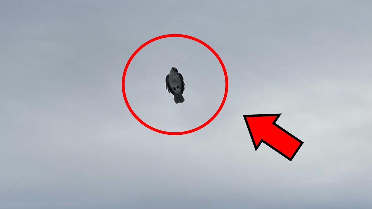 6 Fen&oacute;menos INEXPLICABLES captados en C&aacute;mara (Parte 31)