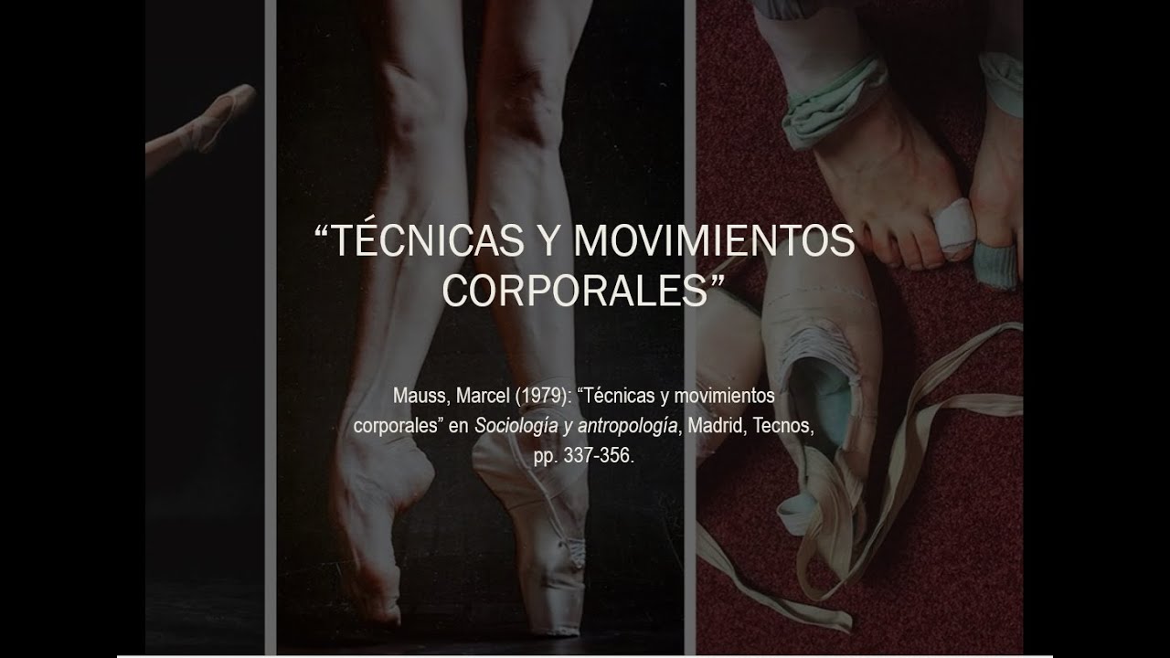 Sesión 11  Teoría sociológica I