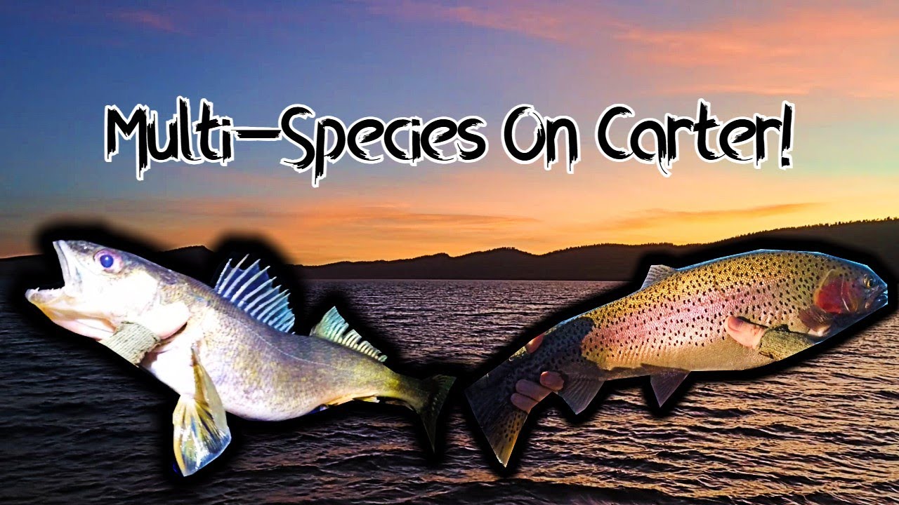 Walleye, Trout, And A Kayak! Carter Lake Winter Fishing!